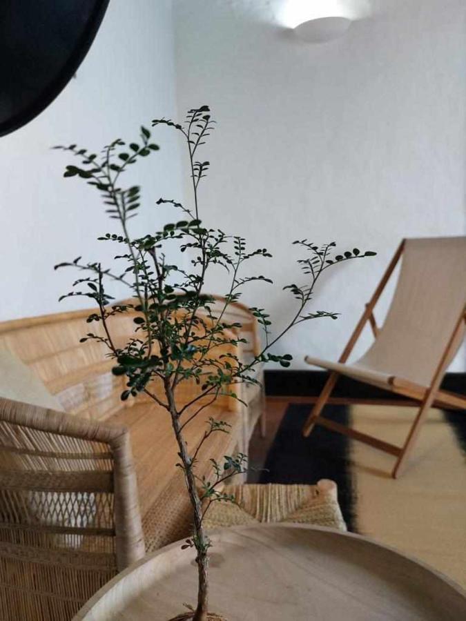 Casa Yooj Designers House In Teguise Lejlighed Teguise  Eksteriør billede